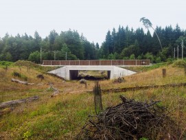 Die Unterführung «Surhard» nach der Verbreiterung: Natürlicher Boden und die strukturreiche Gestaltung mit Verstecken erleichtert den Wildtieren die Querung.