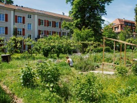 Auch die Basler Unigärten gehören zum  Netzwerk «Urban Agriculture Basel».