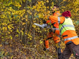 Mit der steigenden Leistungsfähigkeit von Elektrogeräten werden die Einsatzbereiche immer vielfältiger.