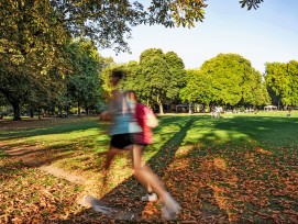 Die Stadt Basel zählt etwa siebzig historische öffentliche Gärten und Parks, in denen Jogger sich ihren eigenen Weg auf weichem Untergrund suchen. Nun sollen Parkanlagen wie die Schützenmatte ins Inventar schützenswerter Gartenanlagen überführt werden. 