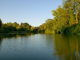 Der Egelsee befindet sich unweit des Zentrums Paul Klee im Osten der Stadt Bern.