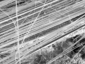 Mikroskopaufnahme Asbestfasern