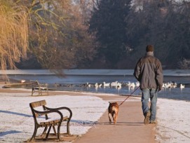 Geräumter Gehweg im Park.