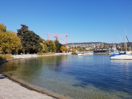 Zürichsee Arboretum Zürich General Guisan-Quai