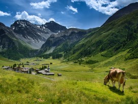 Blick auf Sertig.