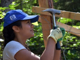 Freiwillige bei der Arbeit beim Bergwaldprojekt.