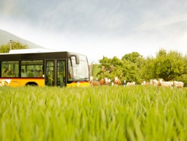 Brennstoffzellen im Postauto