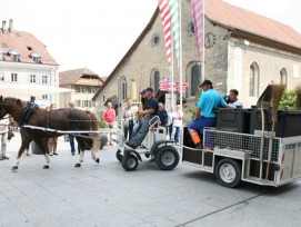 Pilotversuch in Avenches: Müllsammeln mit der Elektrokutsche