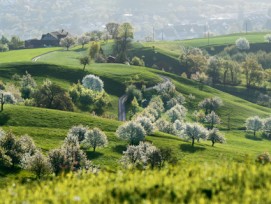 Im Kanton Aargau wächst das Siedlungsgebiet stetig – hier im Jurapark Aargau bei Gipf-Oberfrick hat die Natur jedoch ihren Platz.