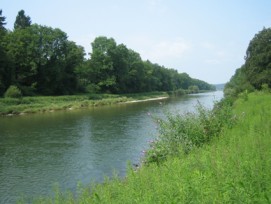 Im Gebiet der Thurmündung, hier bei Flaach ZH, kam es im Sommer zu einer Stechmückenplage.