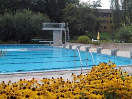 Wassertemperatur im Oktober: 25 Grad. Das Freibad in Zürich-Seebach.