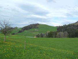 Ein einsames Windrad in der von der äolischen Energie bisher vernachlässigten Zentralschweiz. Die Anlage bei Entlebuch wird die grösste der Region (Fotomontage).