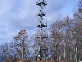 «Grosses Engagement für den Naturschutz und vorbildliche Zusammenarbeit»: Der Walder-Preis 2013 geht in die Region Dorneckberg SO (im Bild: Gempenturm in Gempen).