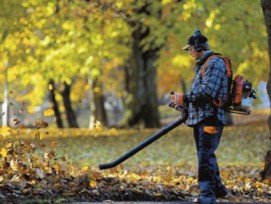 Laubbläser dürfen auch künftig in Zürcher Naturschutzgebieten nicht eigesetzt werden, entschied das Verwaltungsgericht.