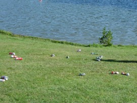 Seit Oktober 2013 spricht die Zuger Polizei Bussen wegen Littering aus und ist damit zufrieden.