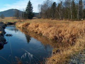 Lebensräume von nationaler Bedeutung (im Bild: Moorlandschaft bei Rothenthurm SZ) können neu als Karten im Internet betrachtet werden.