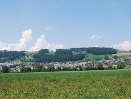 Die Bevölkerung von Wauwil (Bild) will mit den Nachbarn aus Egolzwil fusionieren, der Gemeinderat aber nicht.