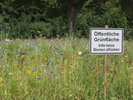 Öffentliche Grünfläche in Karlsruhe DE