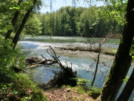 Reuss, Birmenstorf AG, Schweiz