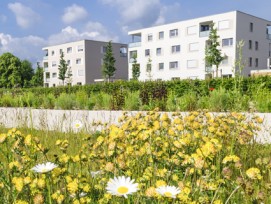 Mehrfamilienhaus im Grünen