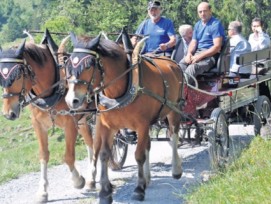 E-Kutsche in Braunwald GL