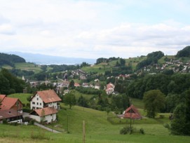 Blick auf Wald ZH