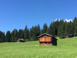 Scheunen in Laax