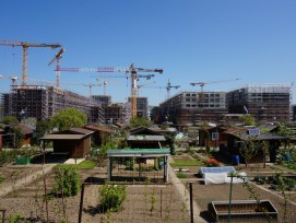 Überbauung Freilager, Zürich-Albisrieden