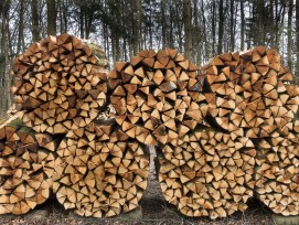 Holzstapel