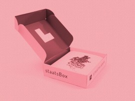 Die Staatsbox vom Staatslabor