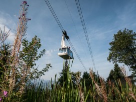 Seilbahn Weggis-Rigi-Kaltbad