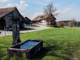 Weiler Chöll in Stettfurt