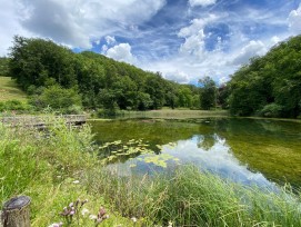 Ermitage Arlesheim Weiher