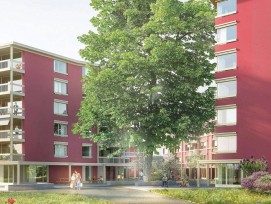 Visualisierung Neubau in Alterssiedlung Espenhof in Albisrieden