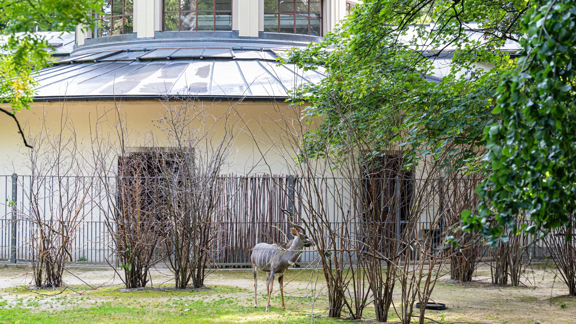 Antilopenhaus Aussenanlage