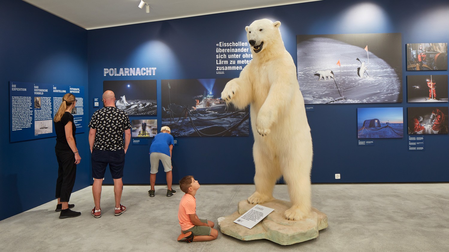 Gletschergarten Luzern Ausstellung Arktis