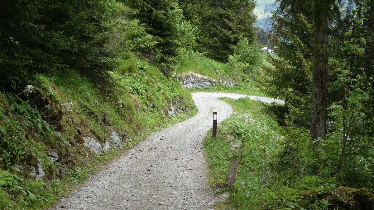 Trun Waldweg Vallettas Rost