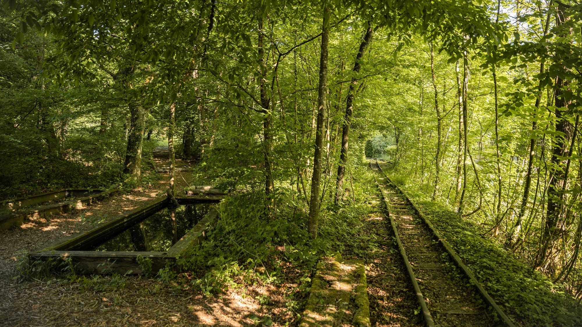 Naturwerkstatt Eriwis Binding Preis 2025