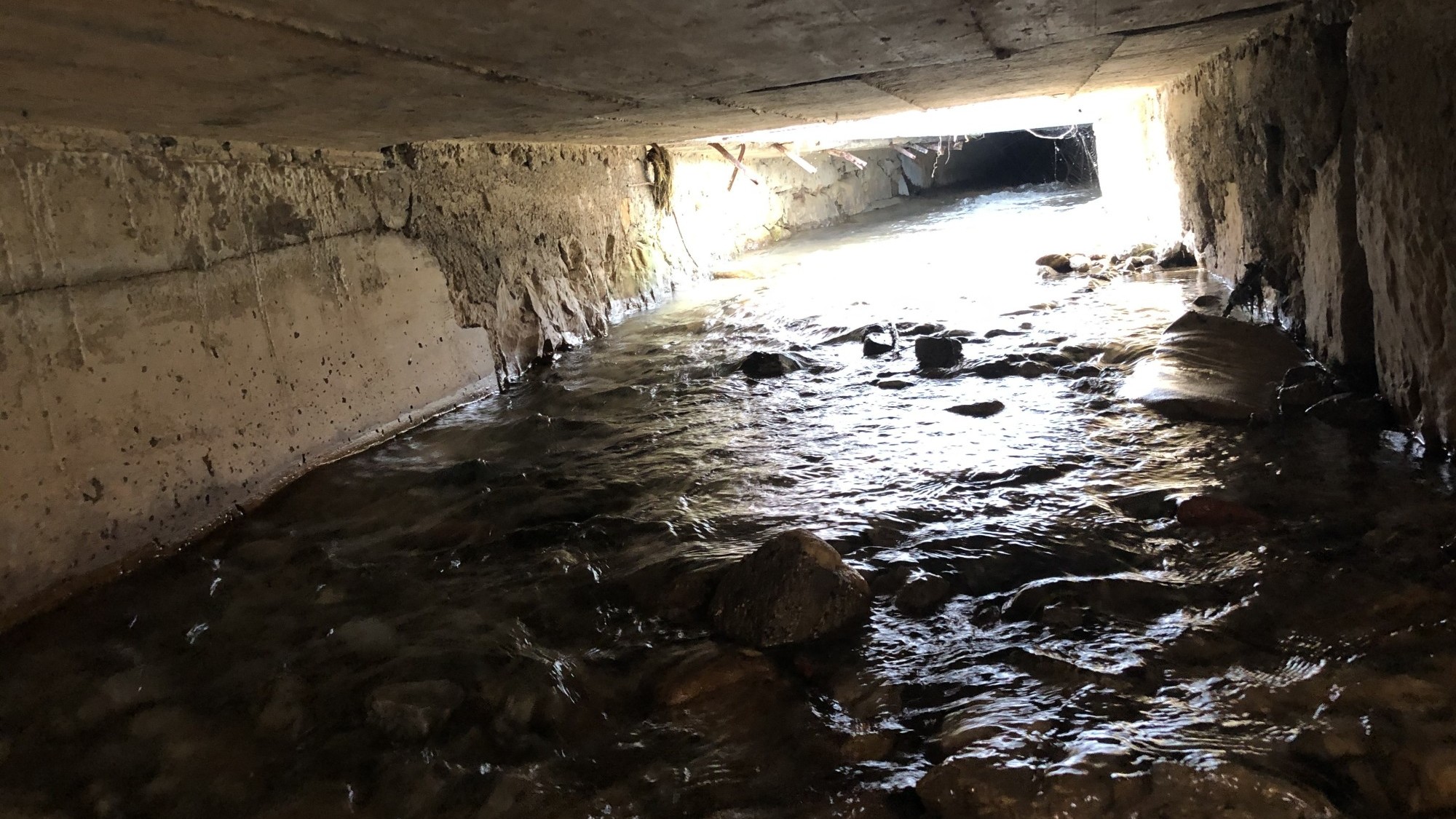 Der eingedolte Dorfbach in Schwyz