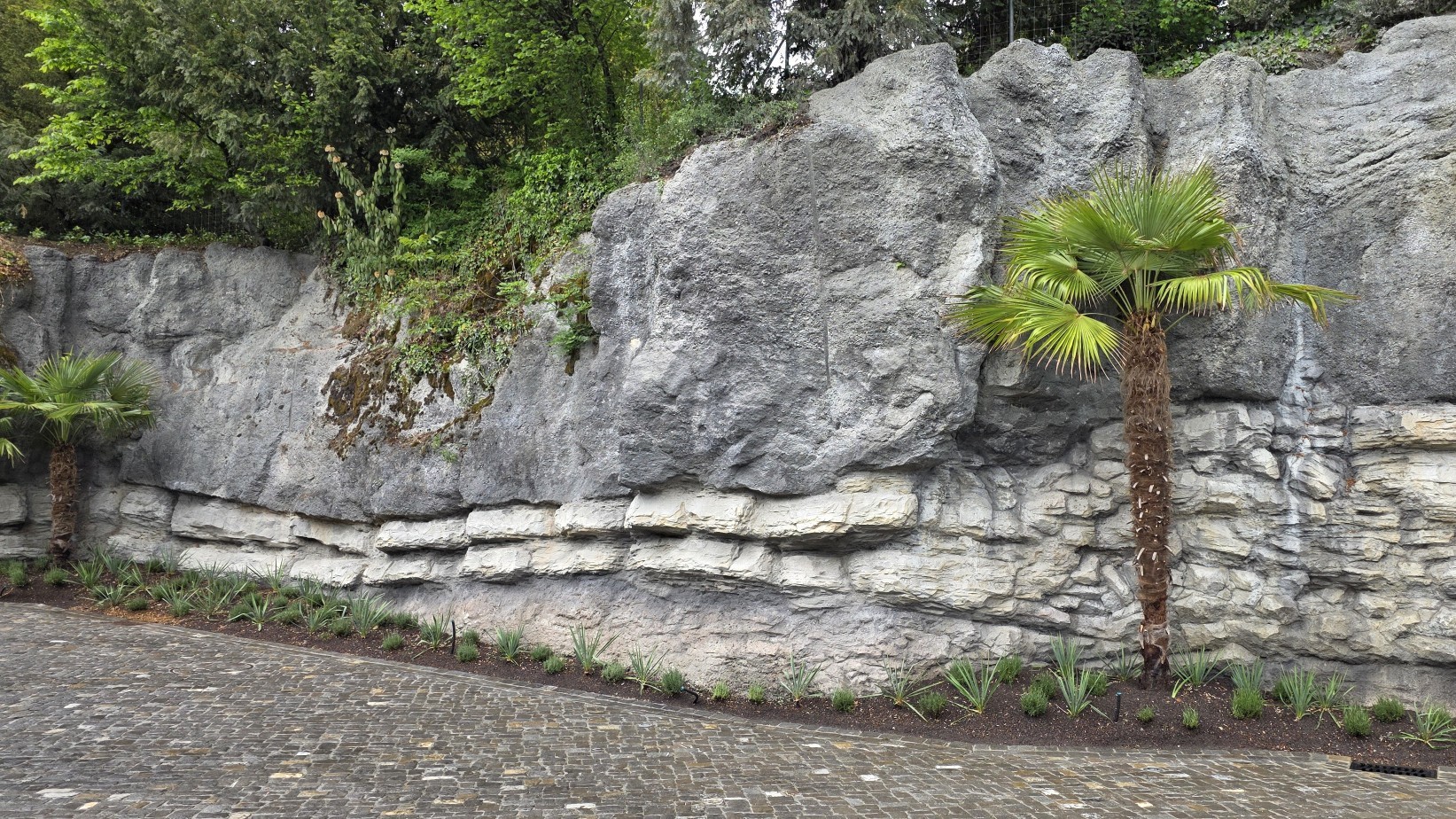 Felswand mit Unterfangung inklusive Kunstfeld am Gubelstein in Rapperswil-Jona SG