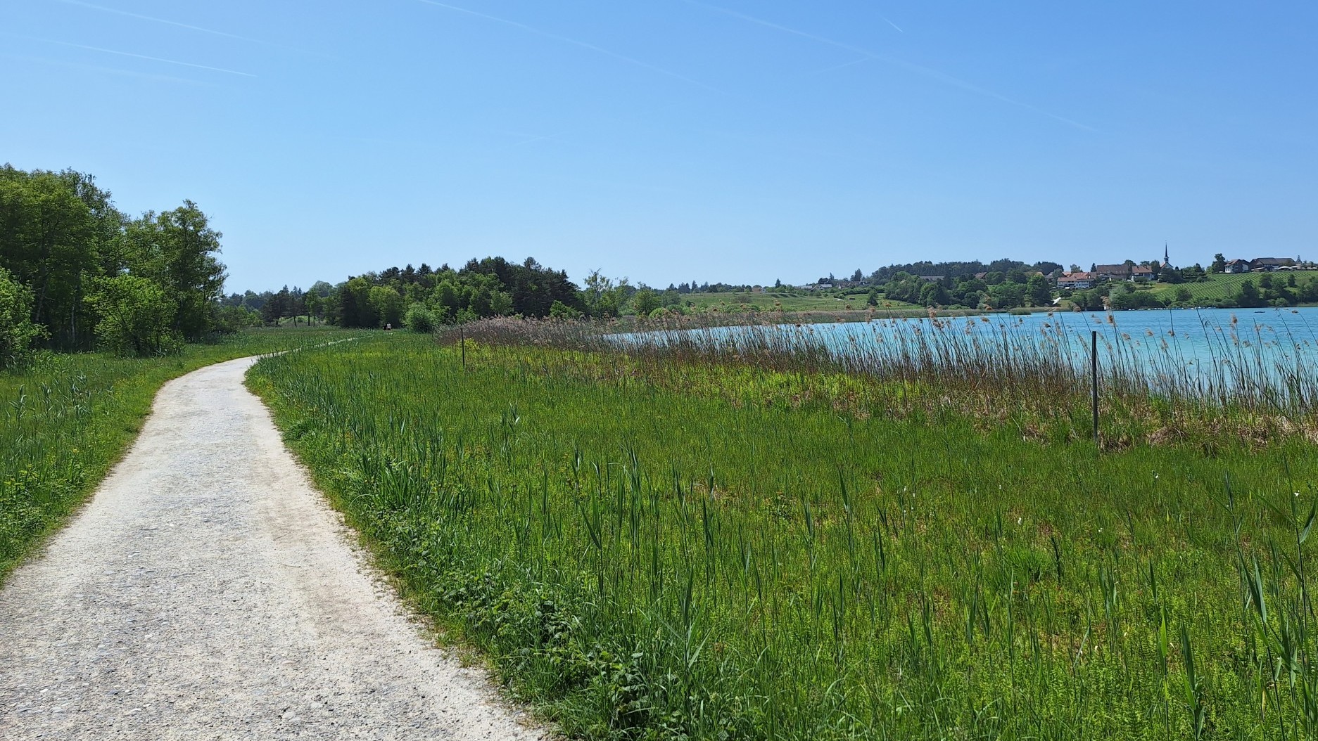Der Pfahlbauweg am Pfäffikersee