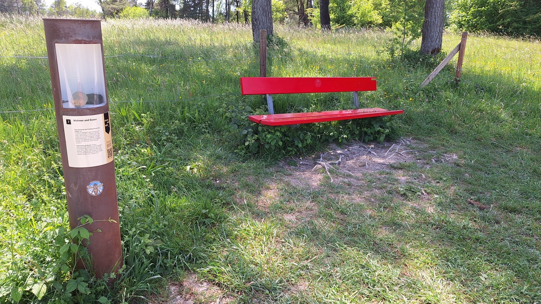 Station 7 des Pfahlbauwegs am Pfäffikersee