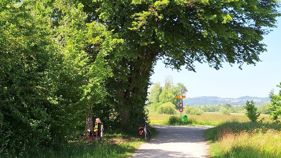 Station 10 des Pfahlbauwegs am Pfäffikersee