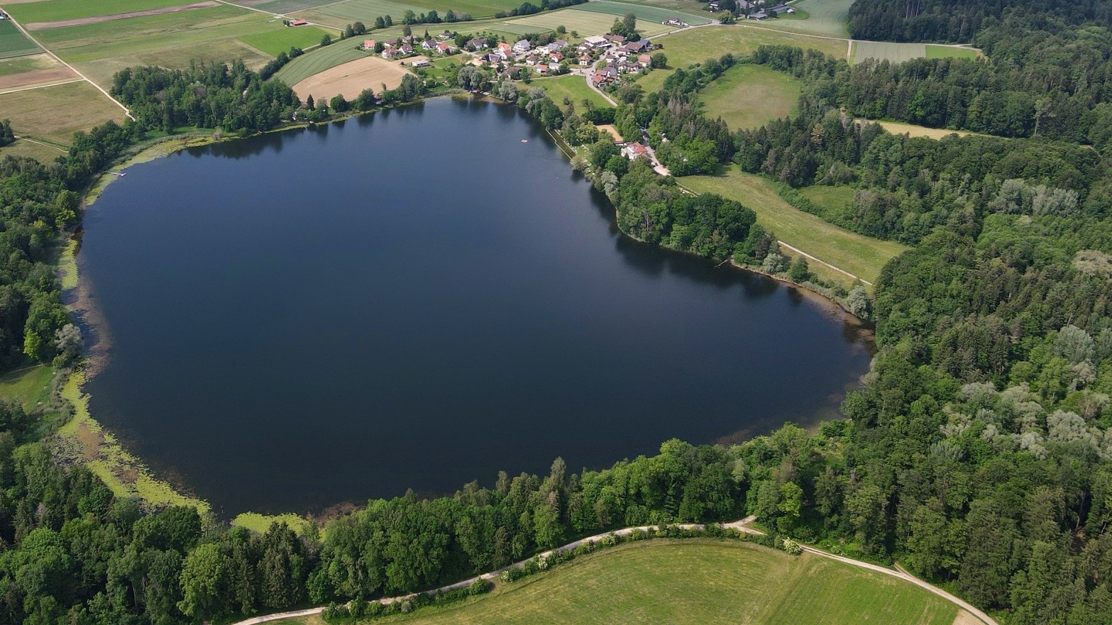 Luftbild Burgäschisee