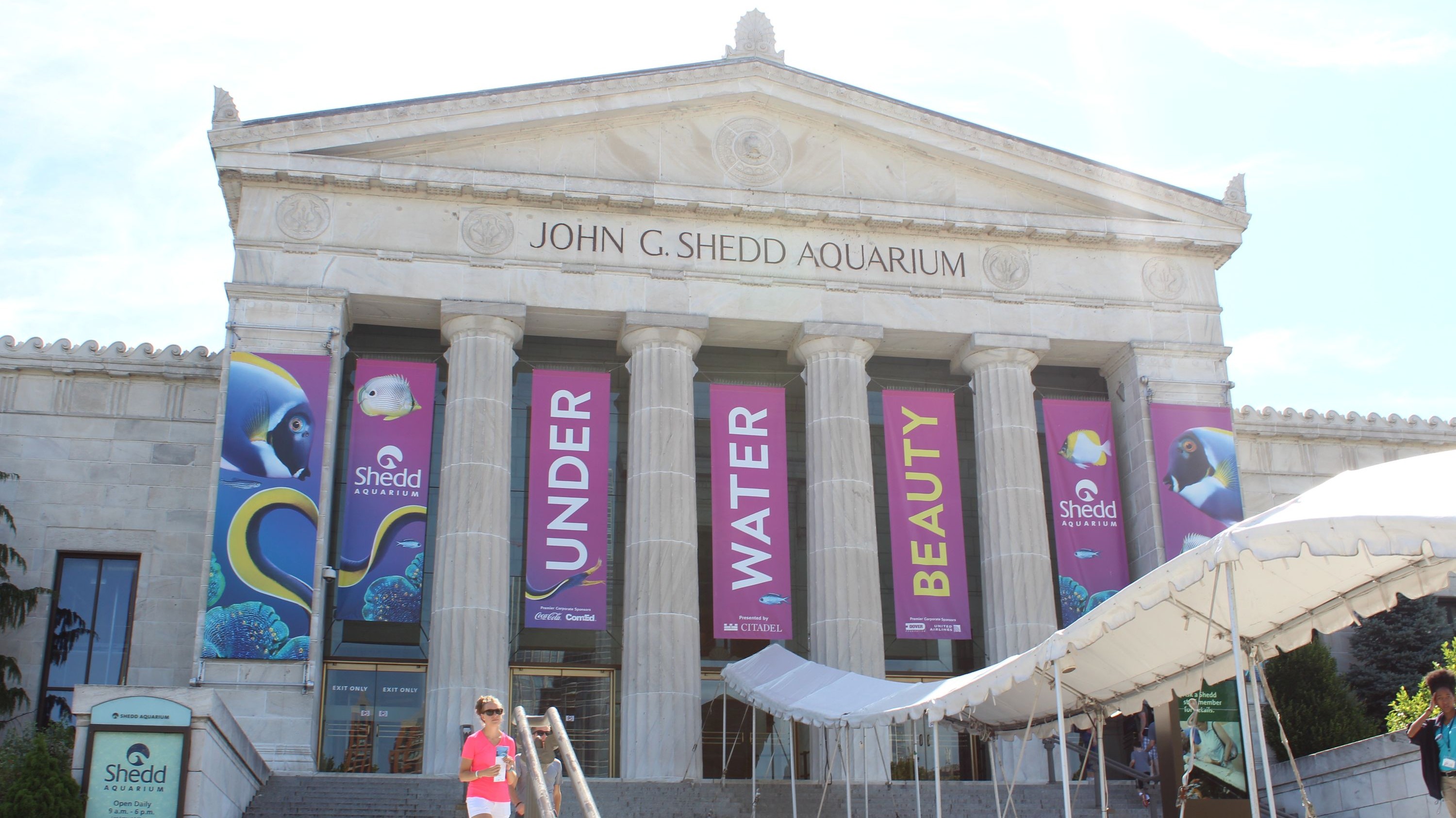 Shedd Aquarium, Chicago