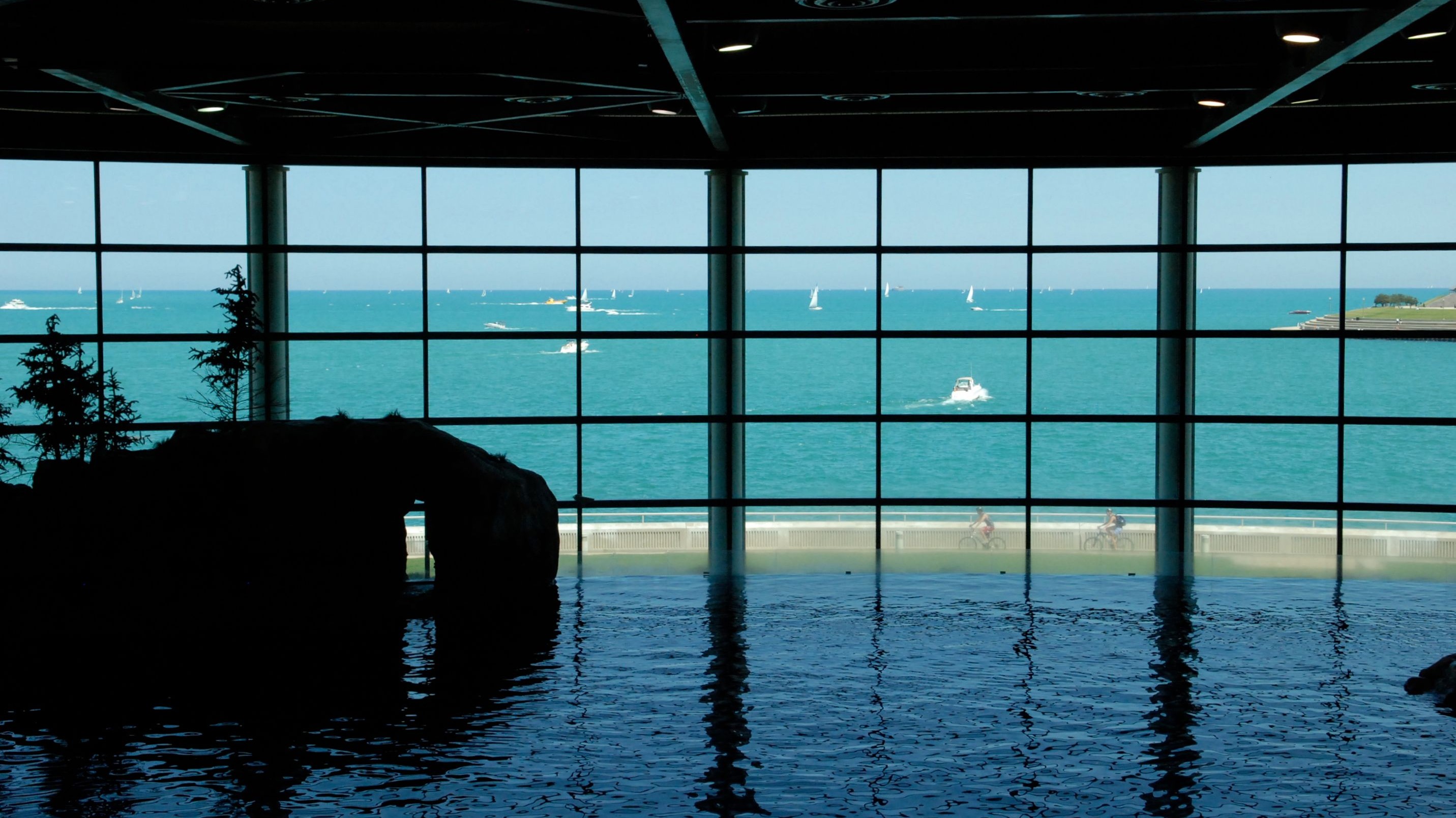 Shedd Aquarium, Chicago