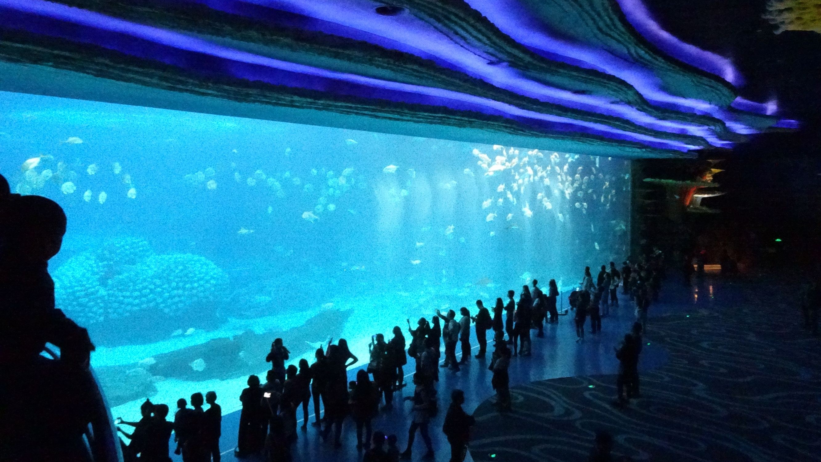 Chimelong Ocean Kingdom, Zhuhai