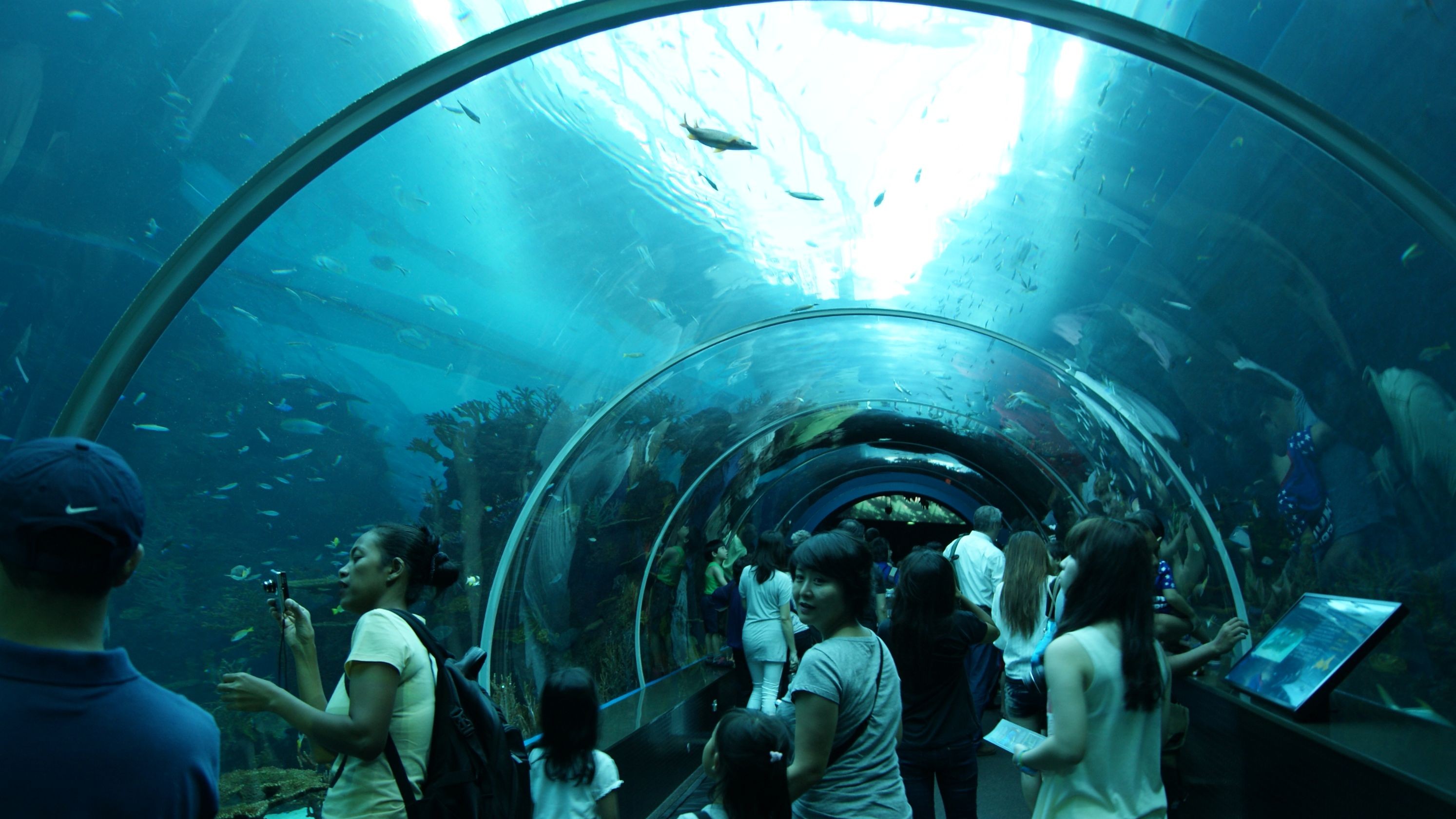 Marine Life Park, Sentosa